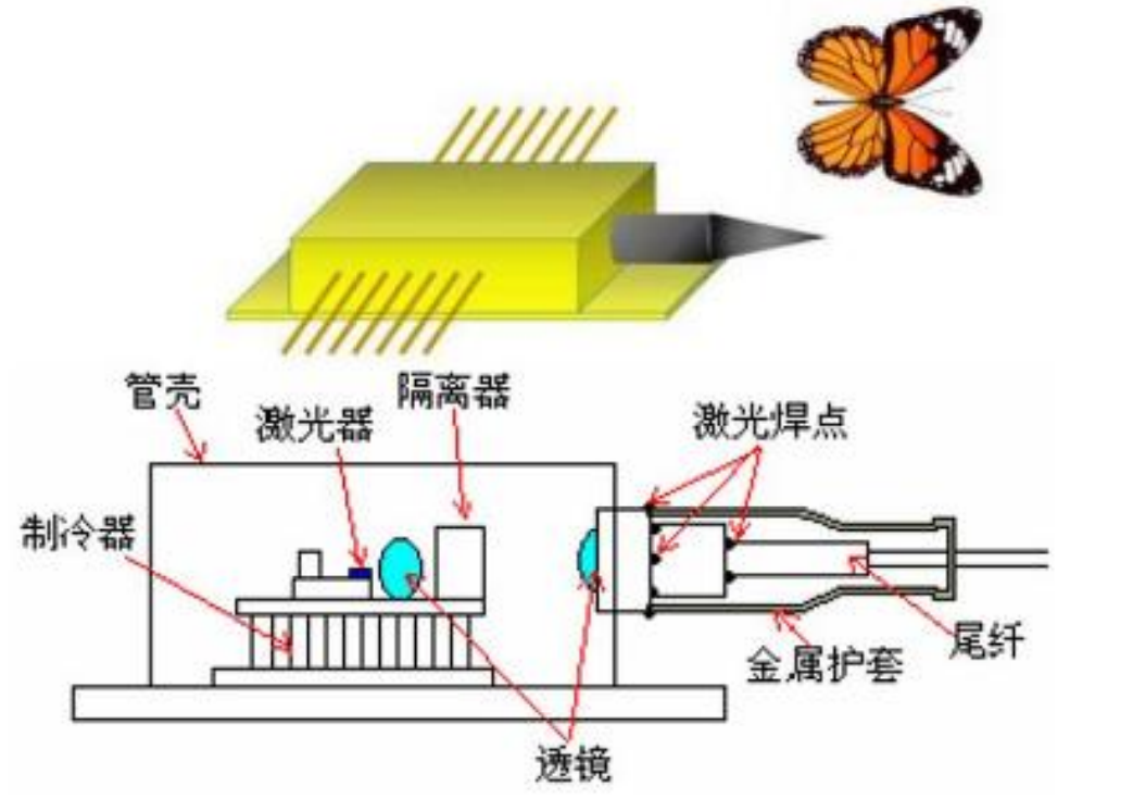 Schematic diagram of butterfly package laser Schematic diagram of butterfly package laser